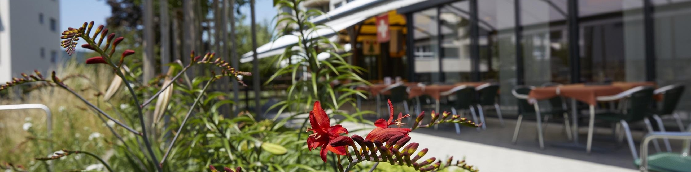 Alterszentrum Mittleres Wynental